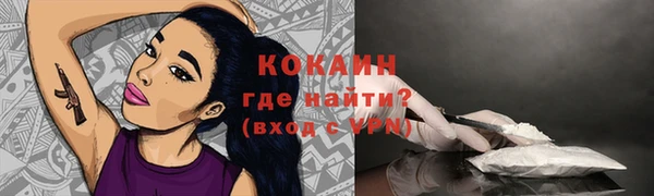 спиды Ладушкин