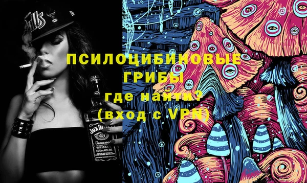 спиды Ладушкин